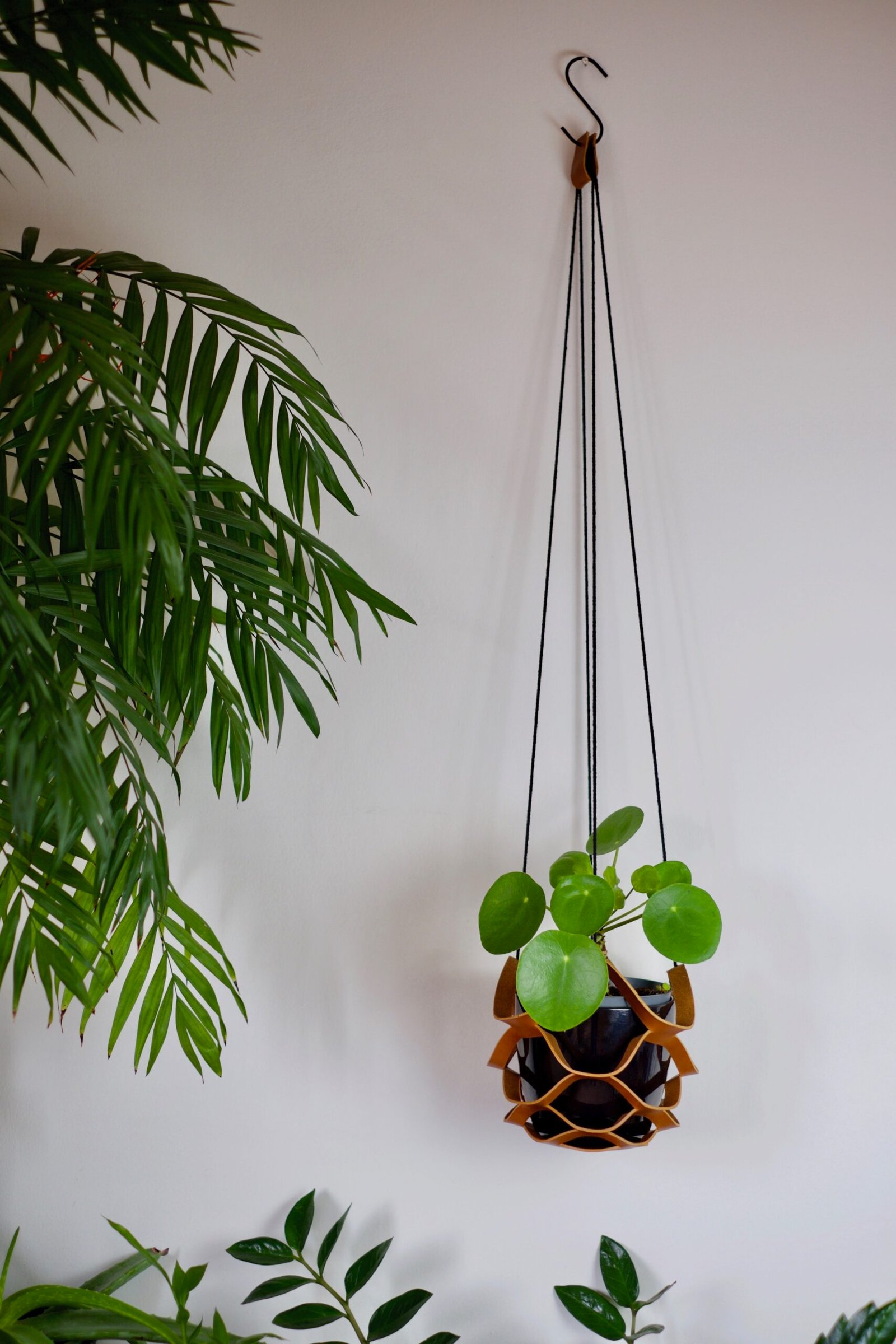 Nest