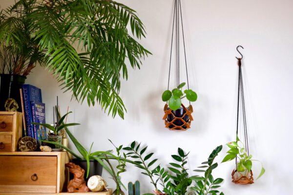 Nest - immagine 3