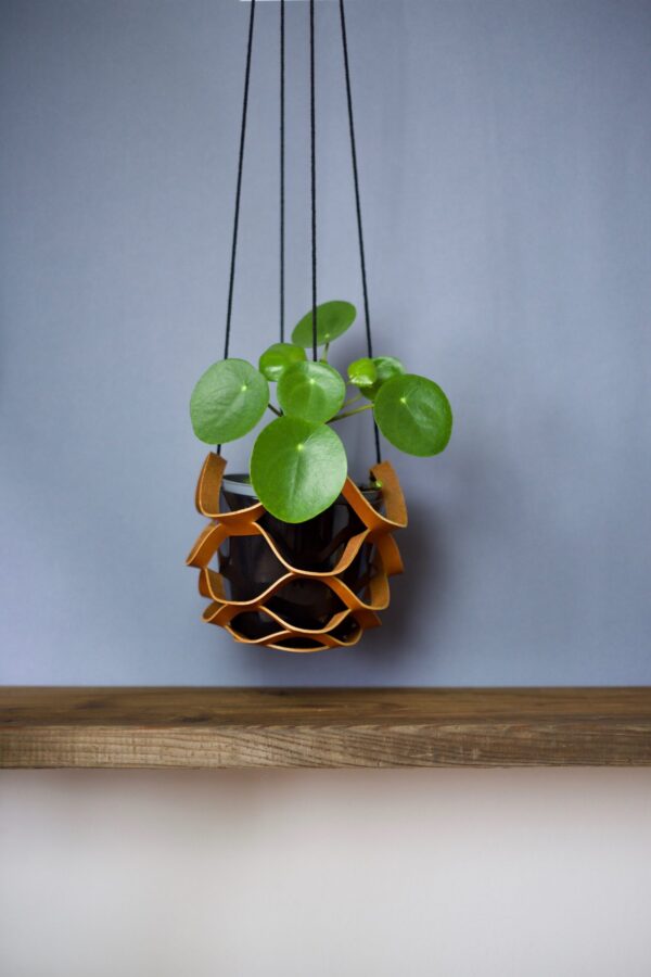 Nest - immagine 4