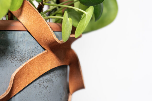 Nest - immagine 5