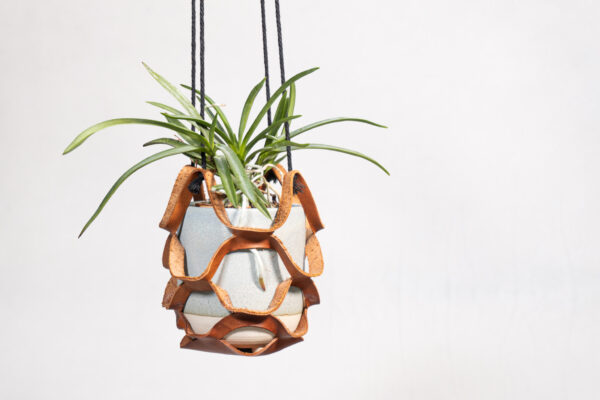 Nest - immagine 2